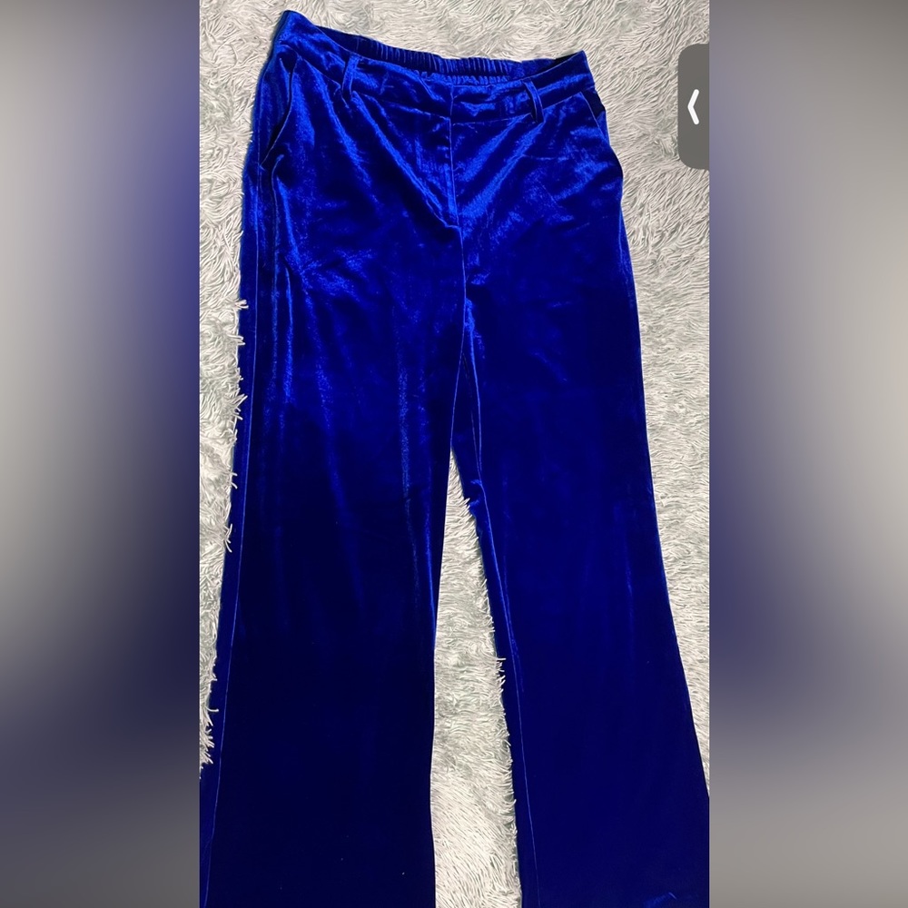 Skies are Blue Vibrant Blue Velvet Slacks